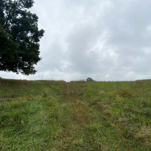 39211-Laurel-Rd_5-Albany-Ohio-45710