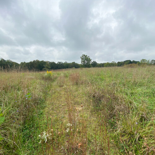 39211-Laurel-Rd_6-Albany-Ohio-45710