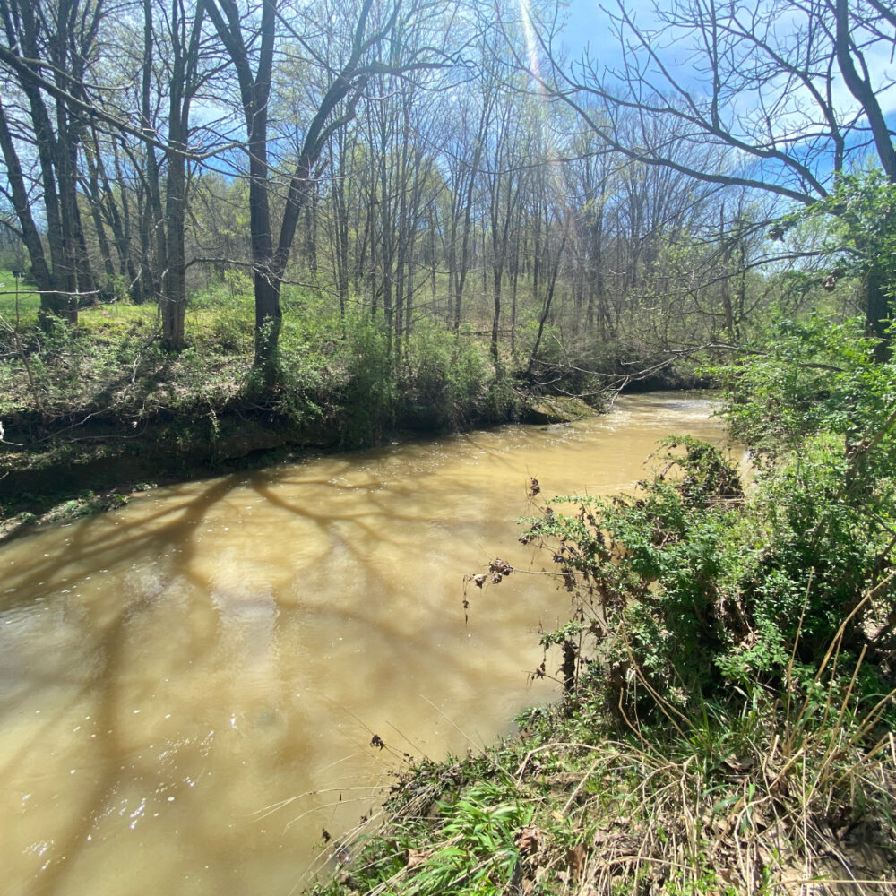Long Run Rd – 67.71 Acres