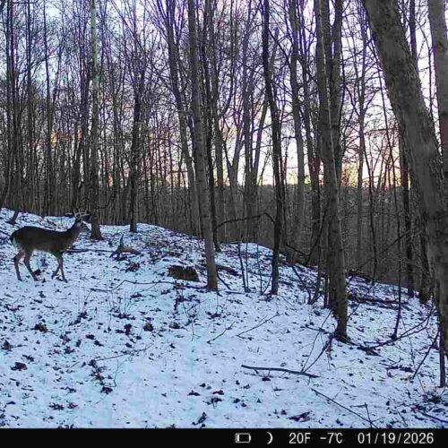 Township Rd 134 SE-Perry-County-OH