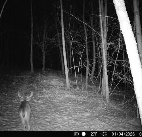 Township Rd 134 SE-Perry-County-OH