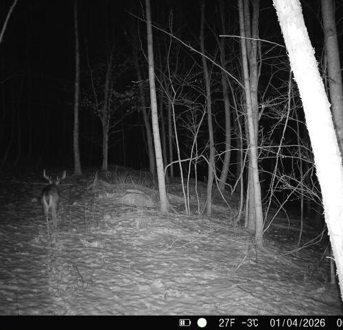 Township Rd 134 SE-Perry-County-OH