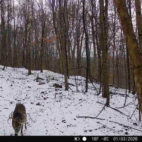 Township Rd 134 SE-Perry-County-OH