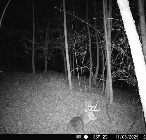 Township Rd 134 SE-Perry-County-OH