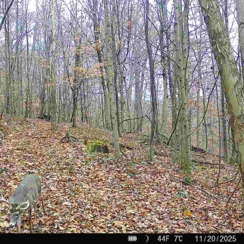 Township Rd 134 SE-Perry-County-OH