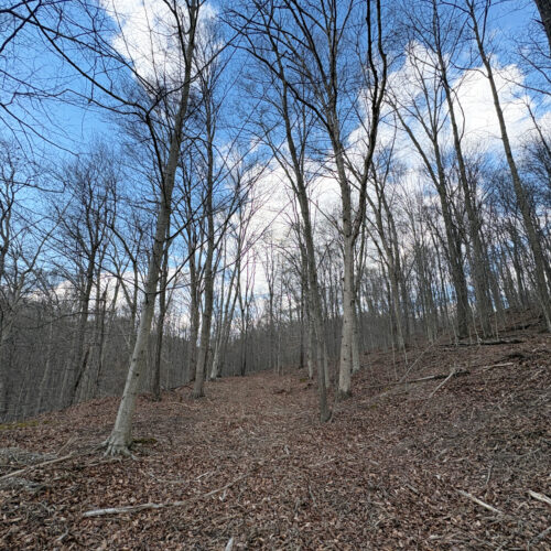 Township Rd 134 SE-Perry-County-OH