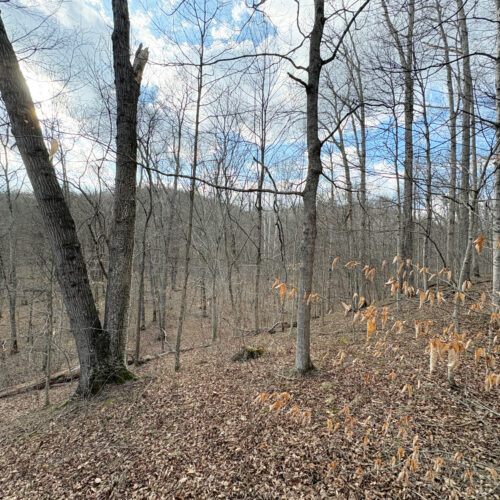 Township Rd 134 SE-Perry-County-OH