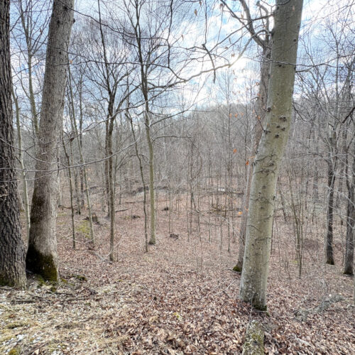 Township Rd 134 SE-Perry-County-OH