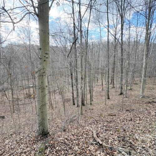 Township Rd 134 SE-Perry-County-OH