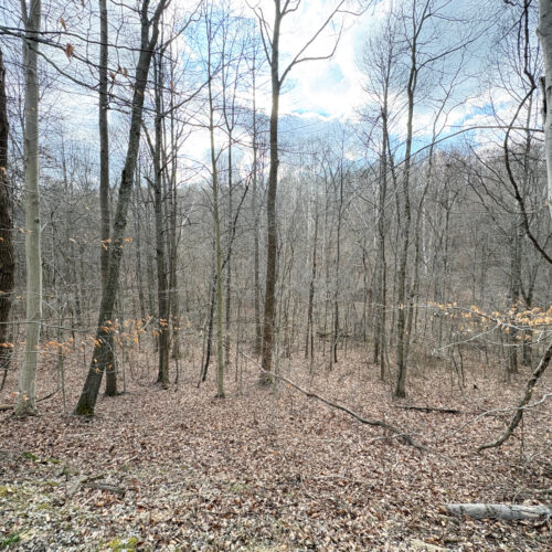 Township Rd 134 SE-Perry-County-OH